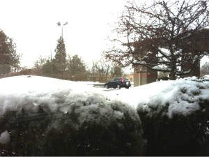 snow to icicles