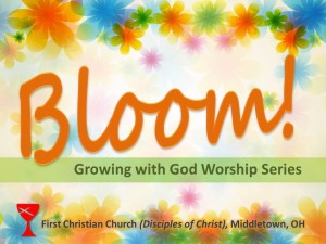 Bloom!